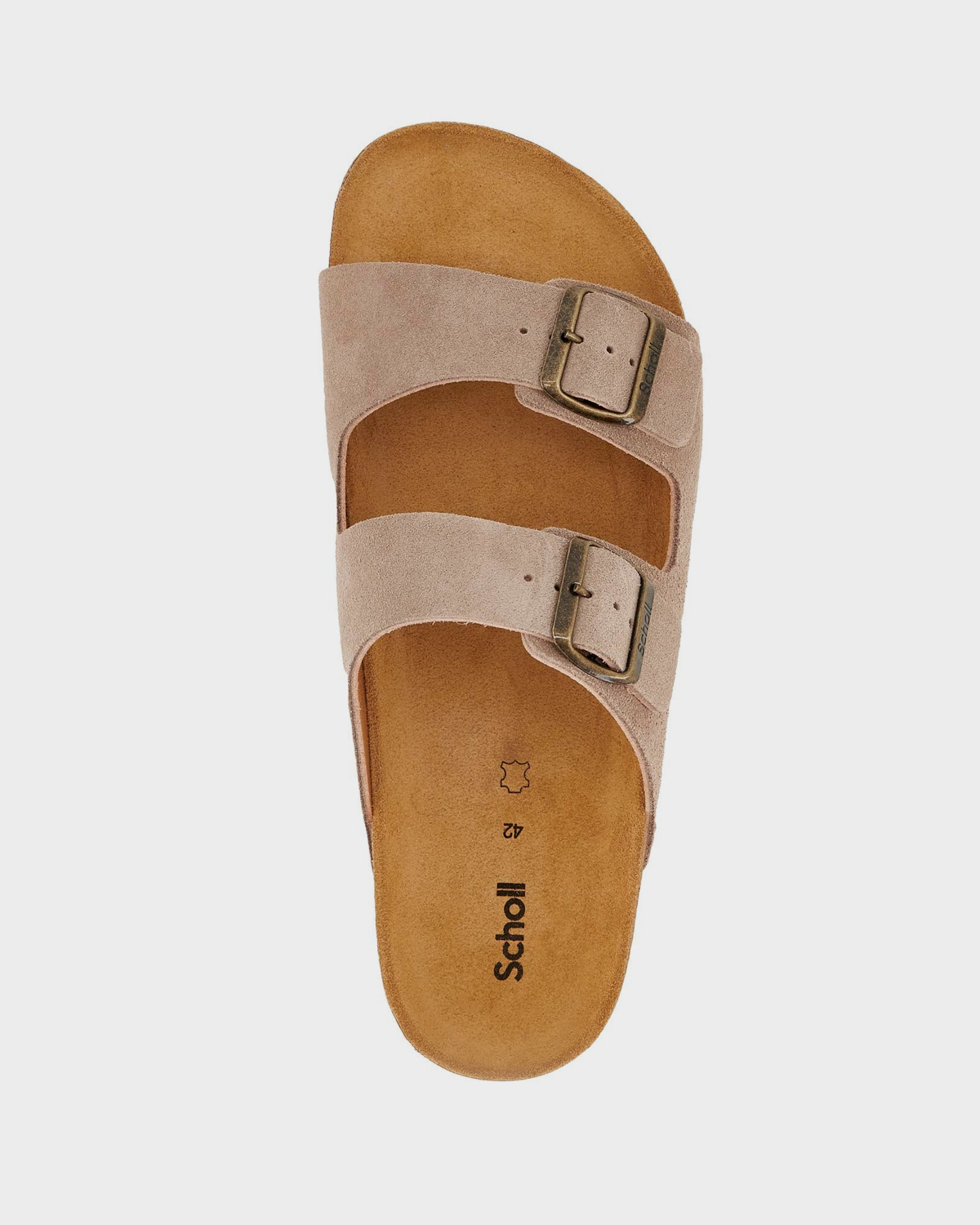 SCHOLL