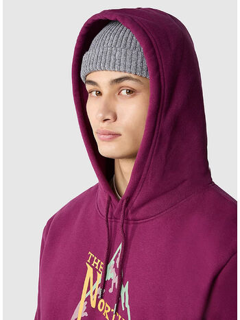 FELPA HEAVY WEIGHT, LI71 BOYSANDBERRY, small