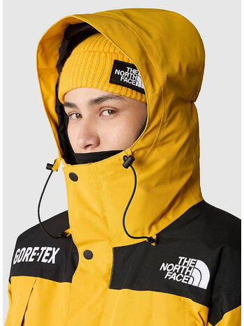 GIACCA GTX INSULATED, ZU31 SUMMINT GOLD/TNFBLACK, small