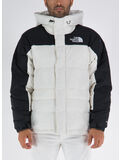 N3N1 GARDENIA WHITE