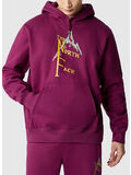 FELPA HEAVY WEIGHT, LI71 BOYSANDBERRY, thumb