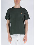 OGX1 OLIVE