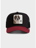 CAPPELLO THE TOP DOG UNISEX, VOID/DESIRE, thumb
