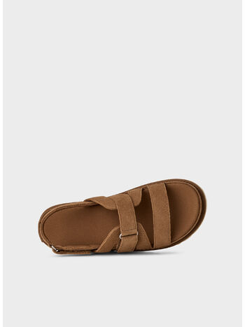 SANDALO GOLDENSTAR GLEAM, CHE, small