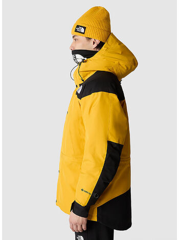 GIACCA GTX INSULATED, ZU31 SUMMINT GOLD/TNFBLACK, small