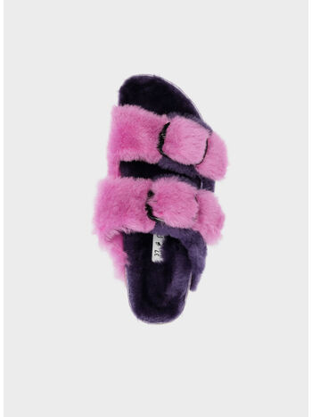 CIABATTA ARIZONA BIG BUCKLE SHEARLING, DARK BERRY, small