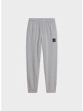 PANTALONE EVO BOX HALF DOME JOGG, CQO1 TNF Pale Grey Heather, thumb
