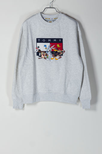 FELPA TJM LOONEY TUNES CREW, PALEGREYHTR, small