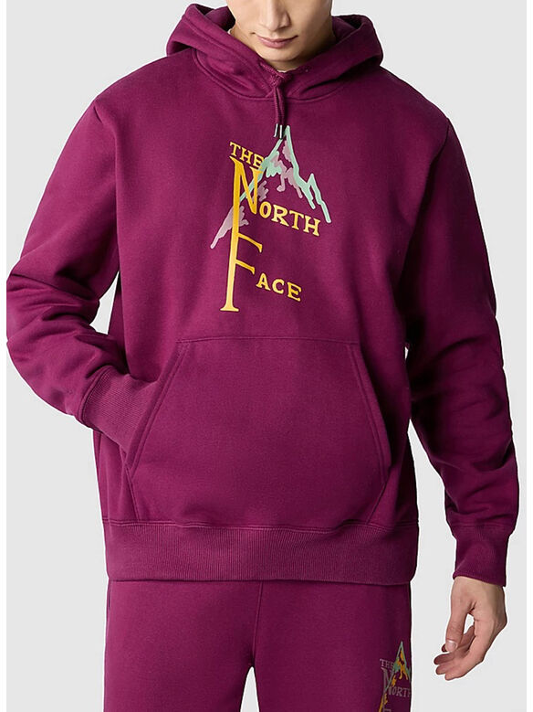 FELPA HEAVY WEIGHT, LI71 BOYSANDBERRY, medium