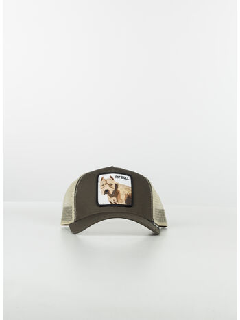 CAPPELLO THE PITBULL, GRY GREY, small