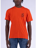 1WE.67 TANGERINE TANGO