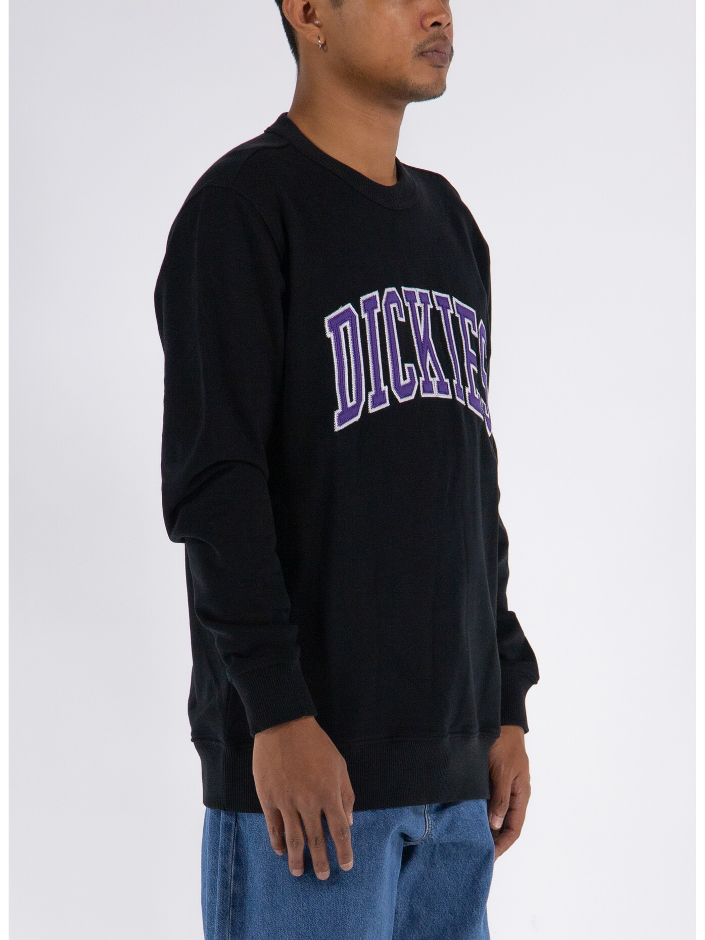 Dickies Icon Logo Hoodie - Sweat à capuche Homme | Achat en ligne