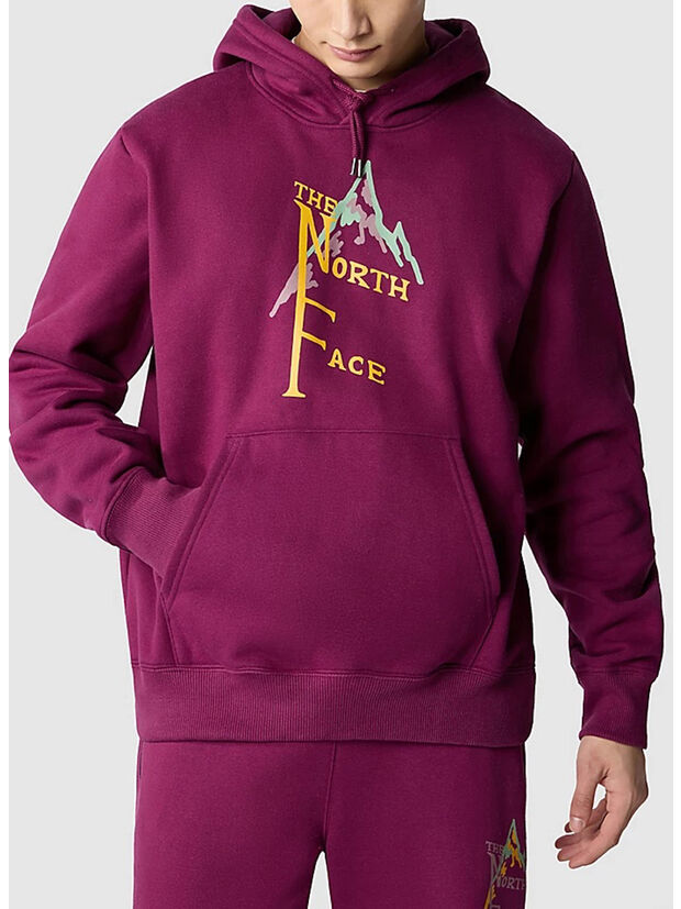 FELPA HEAVY WEIGHT, LI71 BOYSANDBERRY, large