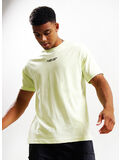 070 SHADOW LIME