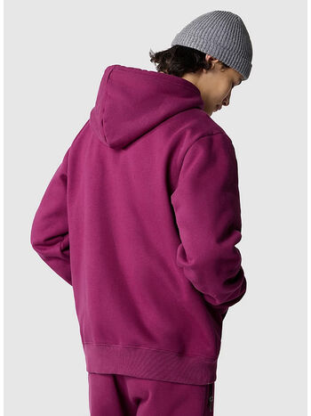 FELPA HEAVY WEIGHT, LI71 BOYSANDBERRY, small