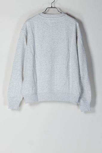 FELPA TJM LOONEY TUNES CREW, PALEGREYHTR, small